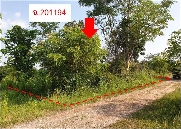 āđāļāđ ð āļāļĩāđāļāļīāļ āđāļĄāļ·āļāļāļāļāļāđāļāđāļ āļĢāļēāļāļēāļāļīāđāļĻāļĐ! ð āļĢāļđāļāļāļĩāđ 2