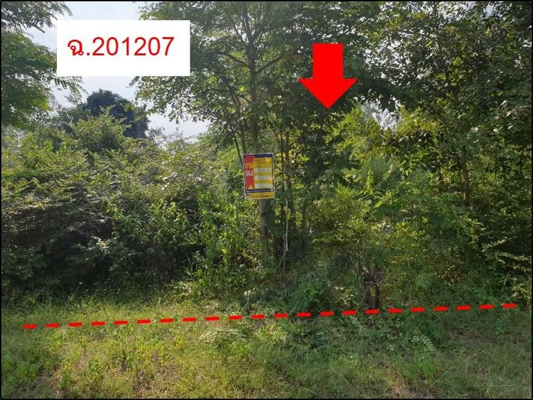 💖 ที่ดิน เมืองขอนแก่น ราคาพิเศษ! 💖