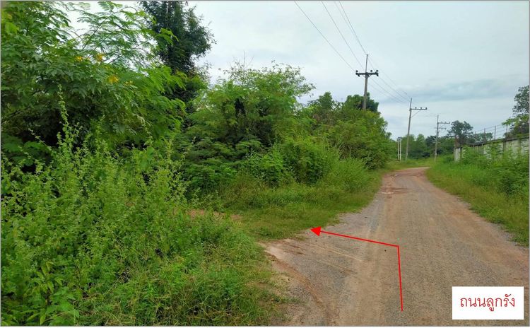 ใช่ 💖 ที่ดิน ภูเวียง ราคาพิเศษ! 💖 รูปที่ 4