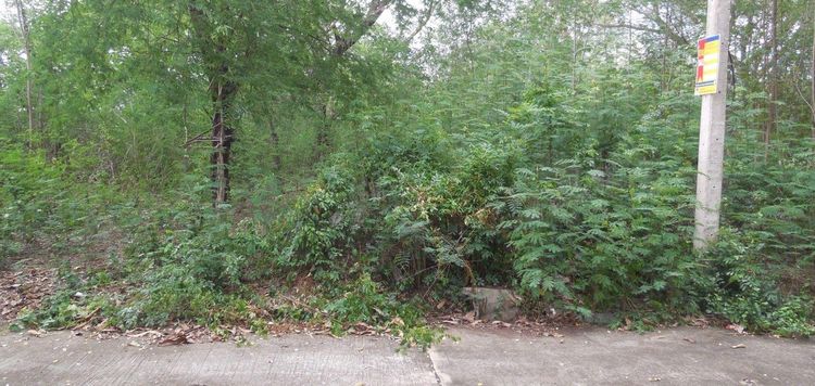 ใช่ 💖 ที่ดิน ชุมแพ ราคาพิเศษ! 💖 รูปที่ 4