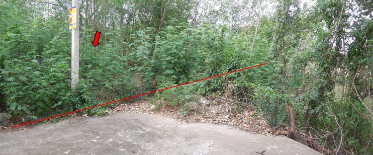 ใช่ 💖 ที่ดิน ชุมแพ ราคาพิเศษ! 💖 รูปที่ 3