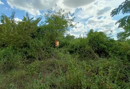 💖 ที่ดิน ภูเวียง ราคาพิเศษ! 💖