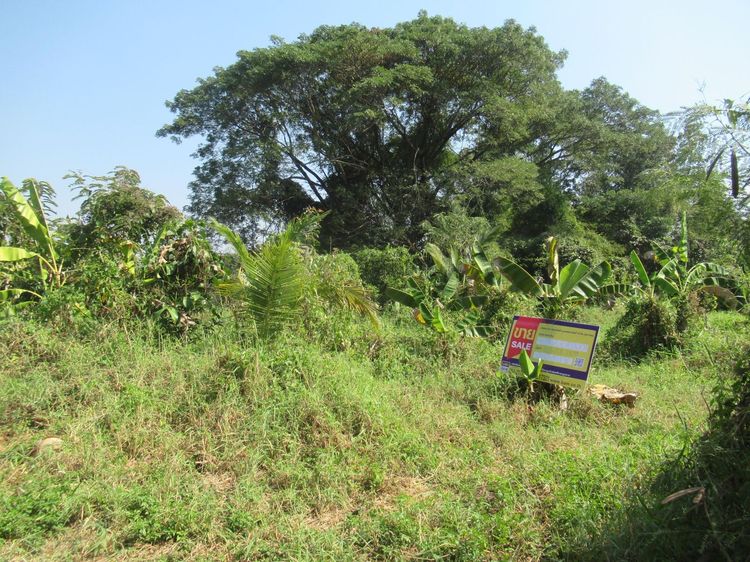 ใช่ 💖 ที่ดิน เมืองลำปาง ราคาพิเศษ! 💖 รูปที่ 2