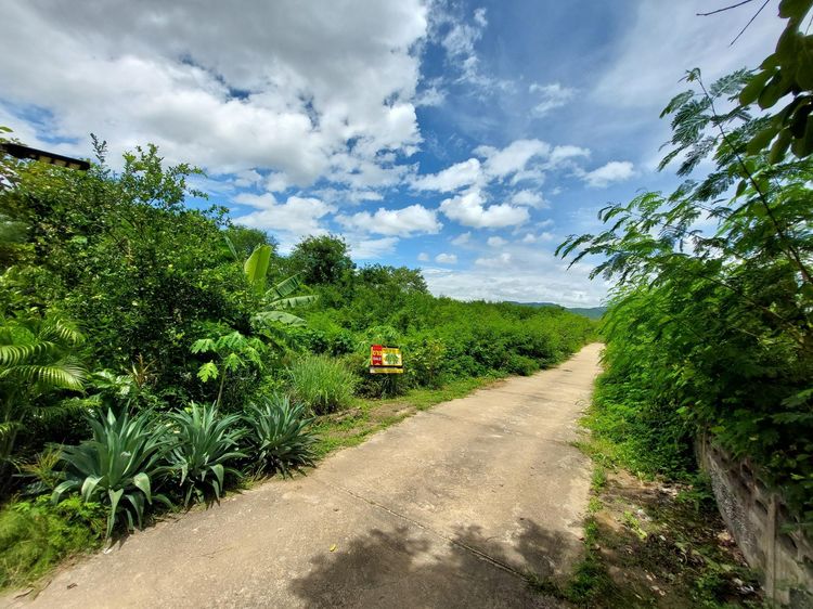 💖 ที่ดิน เมืองลำปาง ราคาพิเศษ! 💖