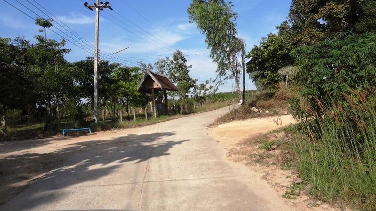 ใช่ 💖 ที่ดิน ห้างฉัตร ราคาพิเศษ! 💖 รูปที่ 3