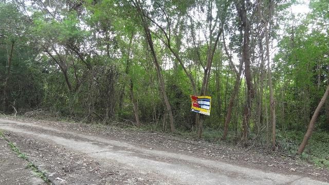 ใช่ 💖 ที่ดิน เมืองลำปาง ราคาพิเศษ! 💖 รูปที่ 4