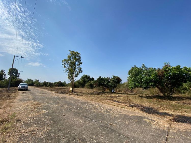 ใช่ 💖 ที่ดิน เมืองลำพูน ราคาพิเศษ! 💖 รูปที่ 3