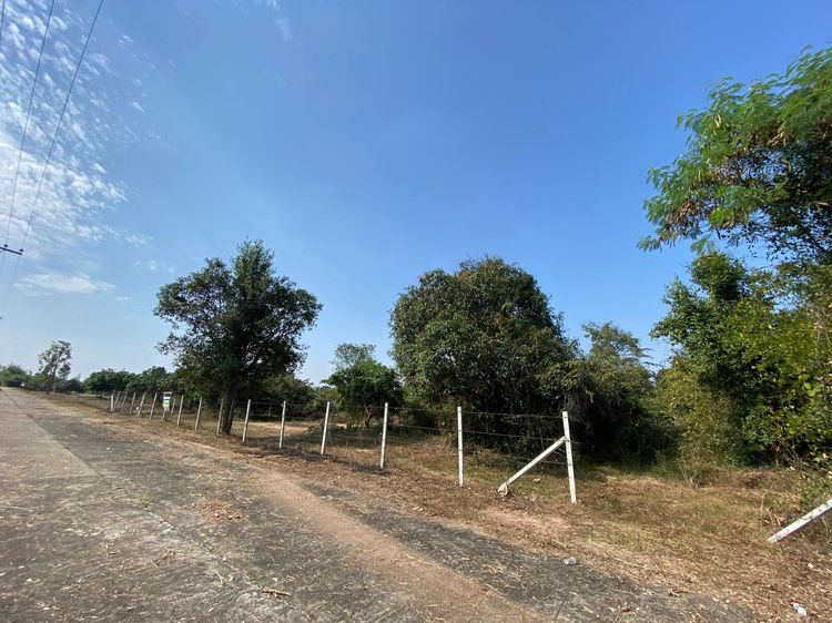 ใช่ 💖 ที่ดิน เมืองลำพูน ราคาพิเศษ! 💖 รูปที่ 3