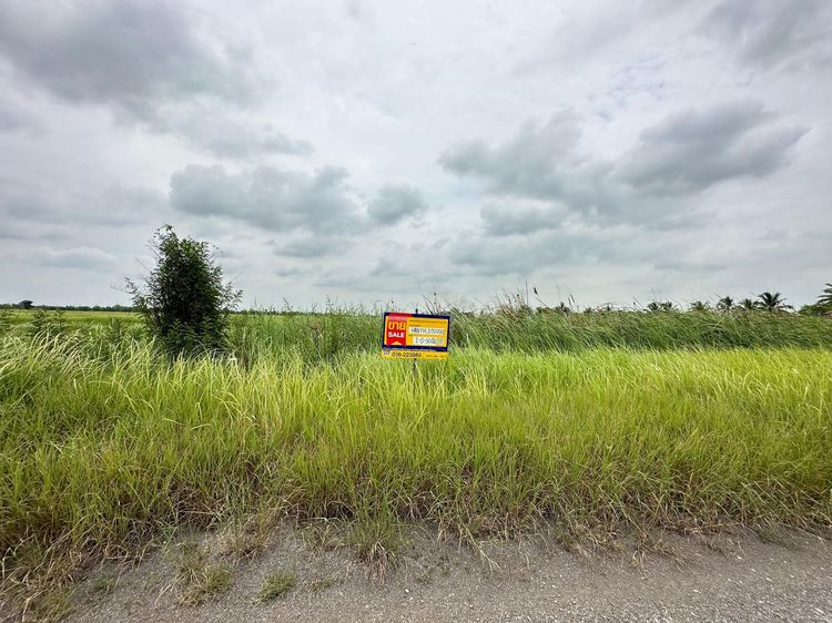 ใช่ 💖 ที่ดิน องครักษ์ ราคาพิเศษ! 💖 รูปที่ 2