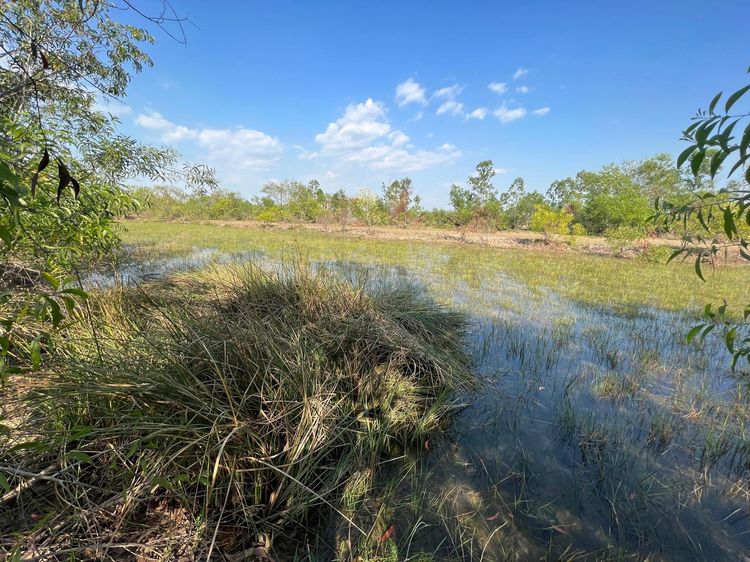 💖 ที่ดิน องครักษ์ ราคาพิเศษ! 💖