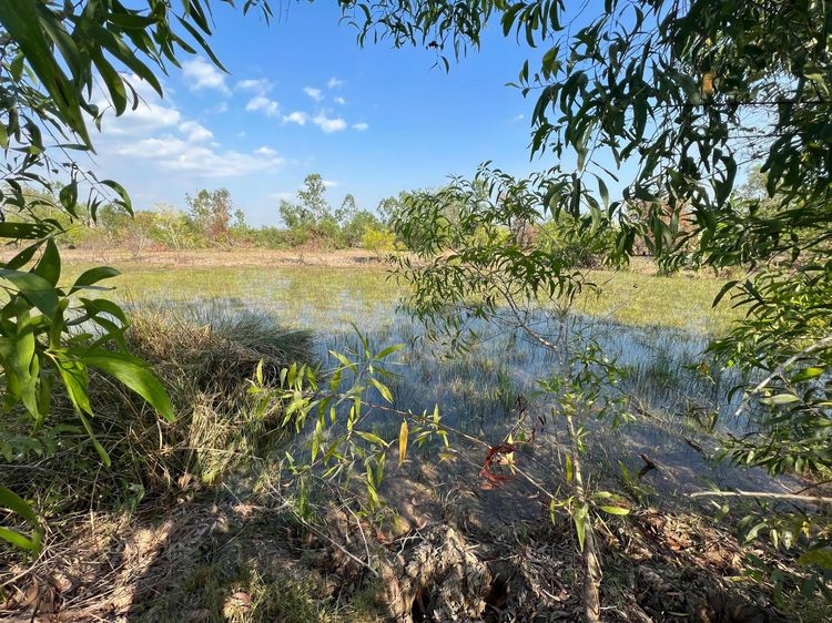 ใช่ 💖 ที่ดิน องครักษ์ ราคาพิเศษ! 💖 รูปที่ 2