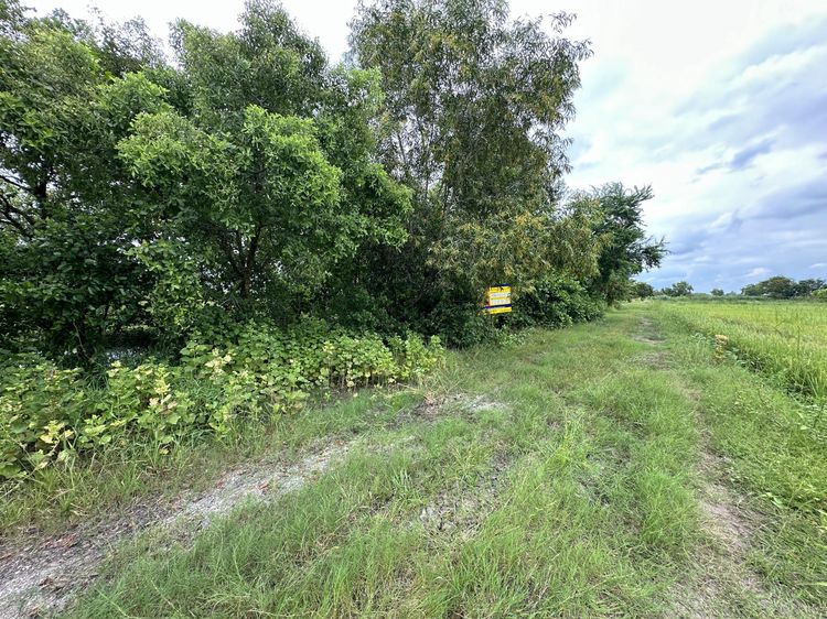 āđāļāđ ð āļāļĩāđāļāļīāļ āļāļāļāļĢāļąāļāļĐāđ āļĢāļēāļāļēāļāļīāđāļĻāļĐ! ð āļĢāļđāļāļāļĩāđ 2