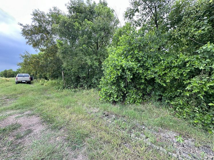 💖 ที่ดิน องครักษ์ ราคาพิเศษ! 💖