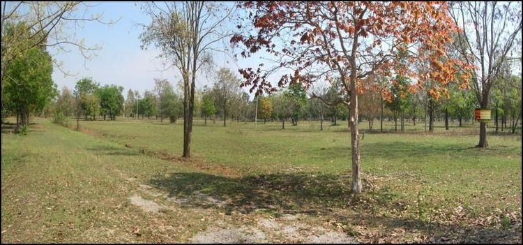 💖 ที่ดิน โชคชัย ราคาพิเศษ! 💖