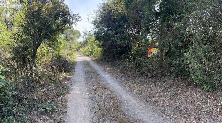 ใช่ 💖 ที่ดิน ขามทะเลสอ ราคาพิเศษ! 💖 รูปที่ 3