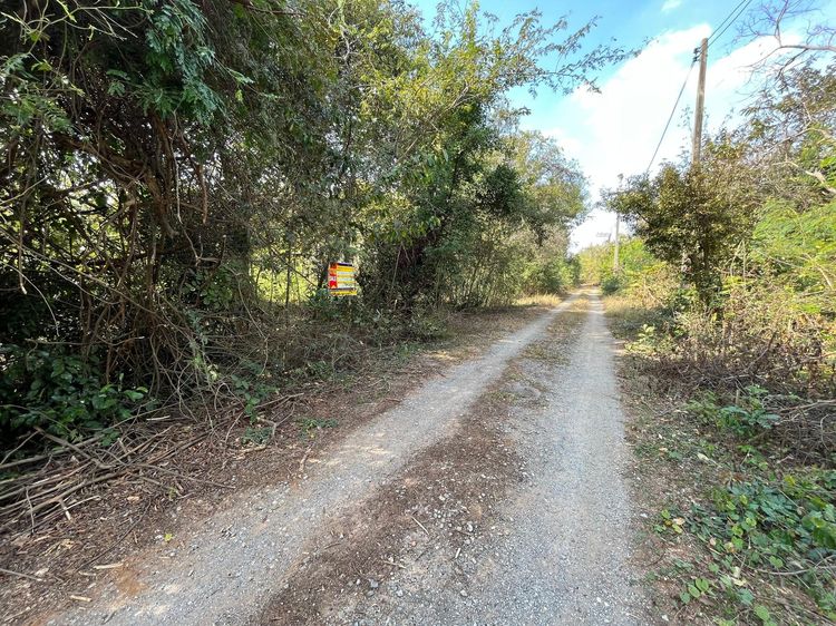 💖 ที่ดิน ขามทะเลสอ ราคาพิเศษ! 💖