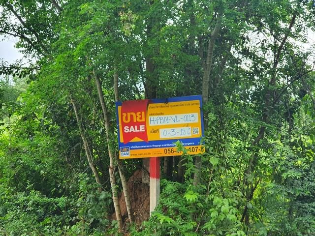 💖 ที่ดิน เมืองเพชรบูรณ์ ราคาพิเศษ! 💖