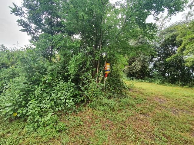 ใช่ 💖 ที่ดิน เมืองเพชรบูรณ์ ราคาพิเศษ! 💖 รูปที่ 4