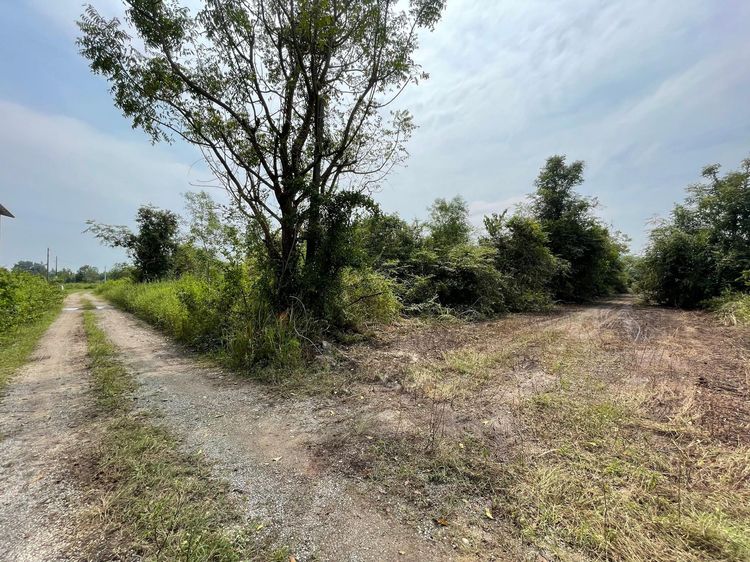 ใช่ 💖 ที่ดิน บางสะพาน ราคาพิเศษ! 💖 รูปที่ 2