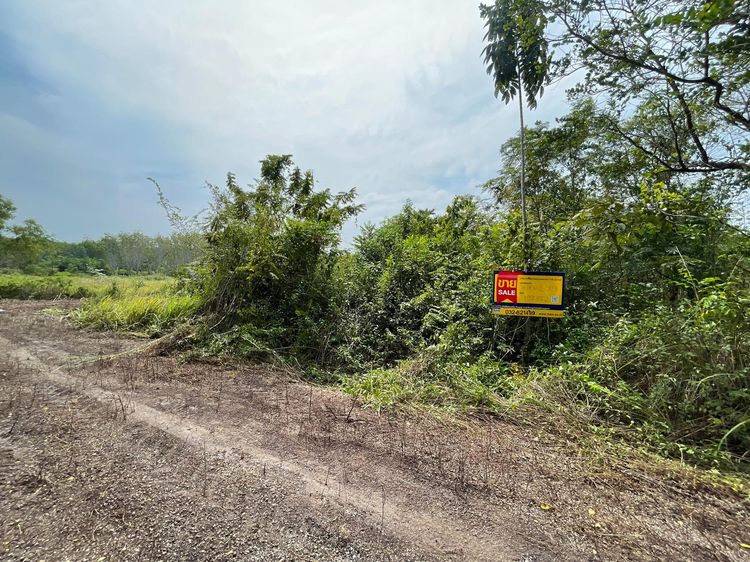 💖 ที่ดิน บางสะพาน ราคาพิเศษ! 💖