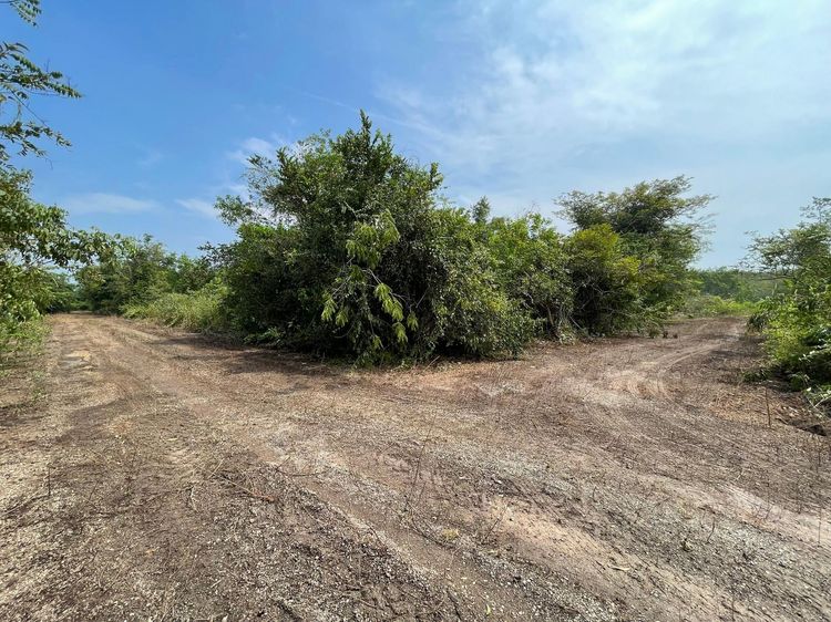 ใช่ 💖 ที่ดิน บางสะพาน ราคาพิเศษ! 💖 รูปที่ 3