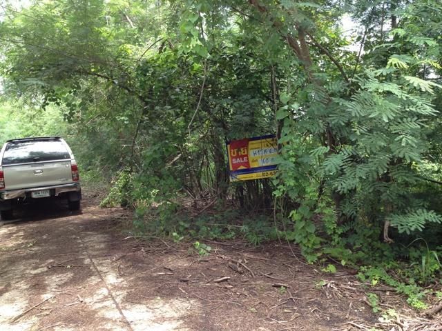 ใช่ 💖 ที่ดิน ธัญบุรี ราคาพิเศษ! 💖 รูปที่ 4