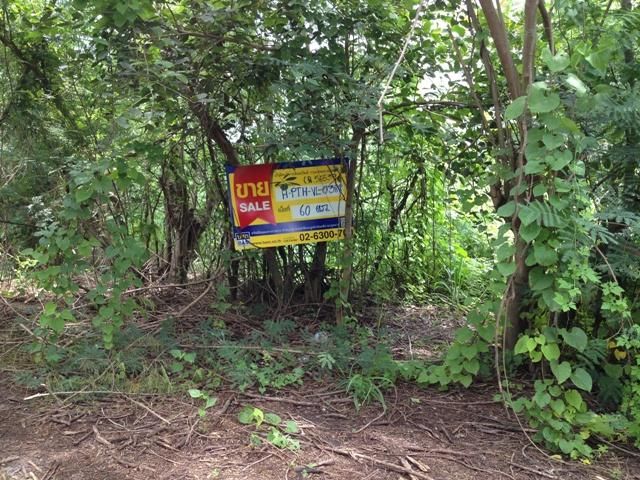 💖 ที่ดิน ธัญบุรี ราคาพิเศษ! 💖