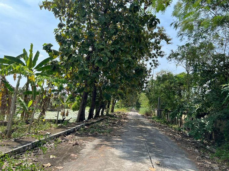 āđāļāđ ð āļāļĩāđāļāļīāļ āļŦāļāļāļāđāļŠāļ·āļ āļĢāļēāļāļēāļāļīāđāļĻāļĐ! ð āļĢāļđāļāļāļĩāđ 2