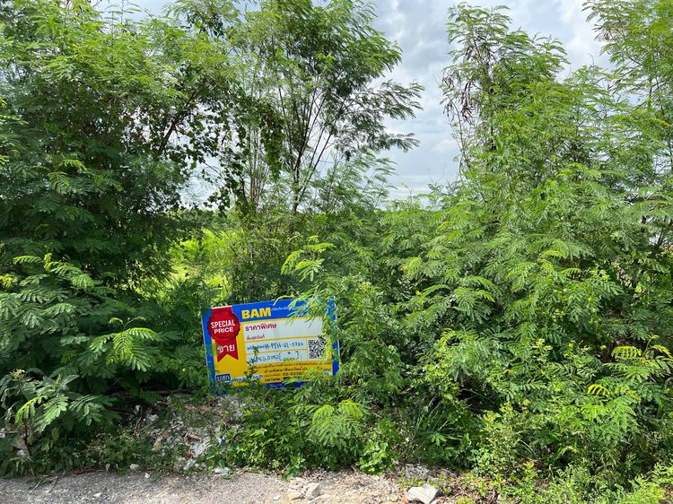 💖 ที่ดิน หนองเสือ ราคาพิเศษ! 💖