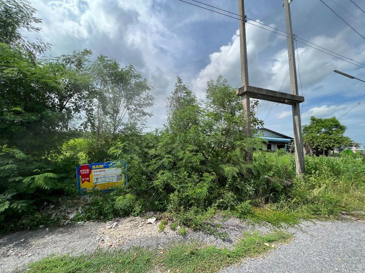 āđāļāđ ð āļāļĩāđāļāļīāļ āļŦāļāļāļāđāļŠāļ·āļ āļĢāļēāļāļēāļāļīāđāļĻāļĐ! ð āļĢāļđāļāļāļĩāđ 3