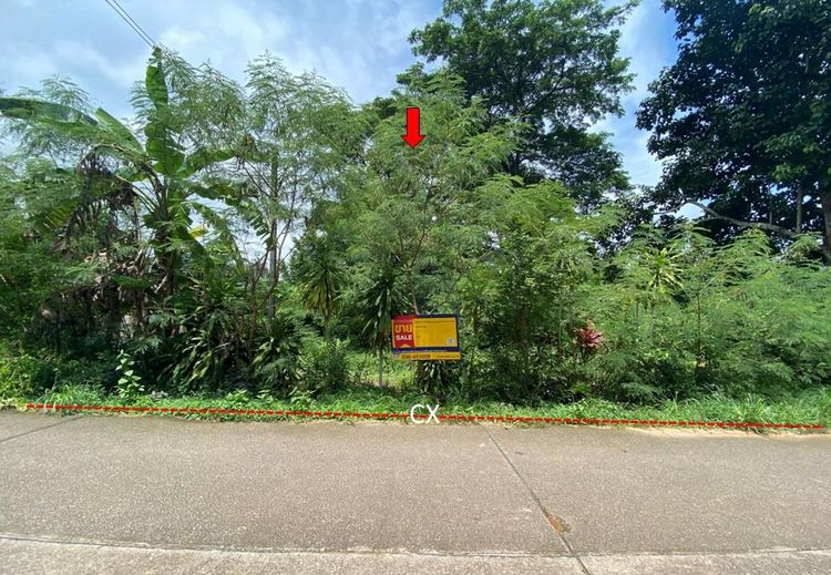 ใช่ 💖 ที่ดิน แกลง ราคาพิเศษ! 💖