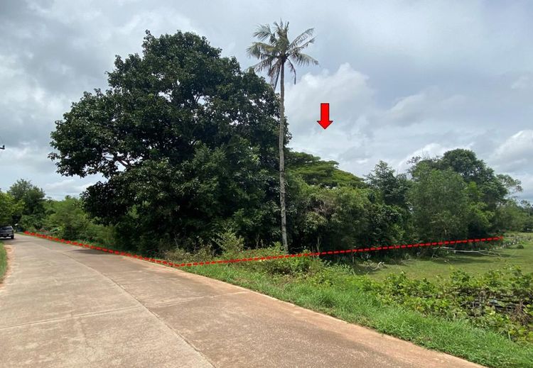 ใช่ 💖 ที่ดิน แกลง ราคาพิเศษ! 💖 รูปที่ 4