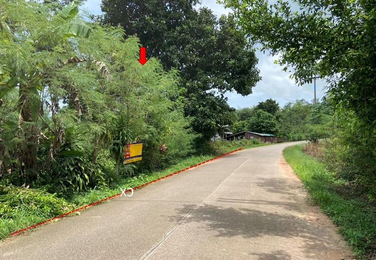 ใช่ 💖 ที่ดิน แกลง ราคาพิเศษ! 💖 รูปที่ 2