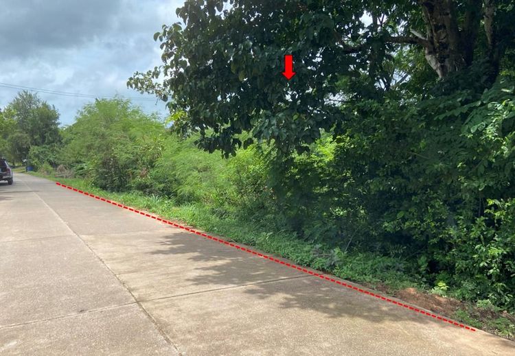 ใช่ 💖 ที่ดิน แกลง ราคาพิเศษ! 💖 รูปที่ 3