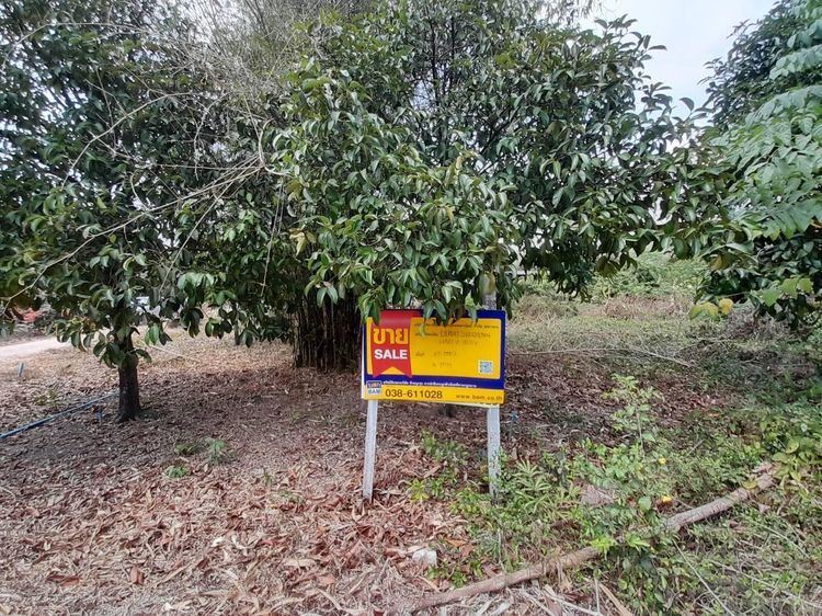 ใช่ 💖 ที่ดิน แกลง ราคาพิเศษ! 💖