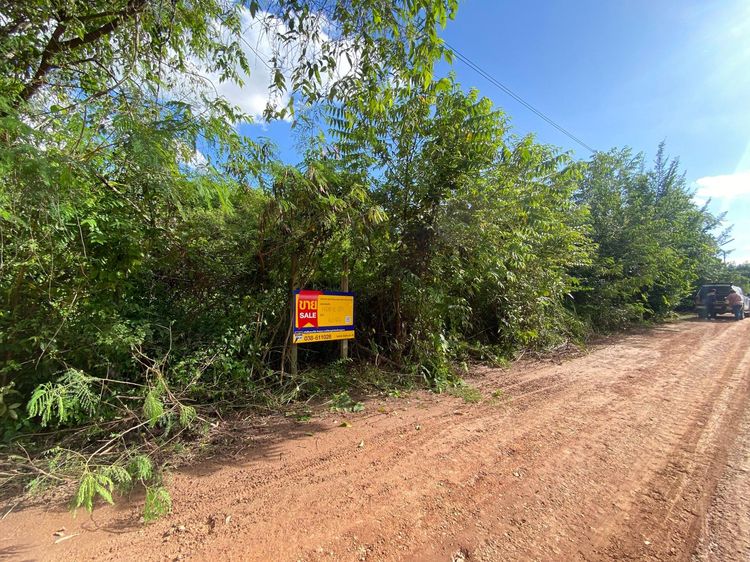 ใช่ 💖 ที่ดิน เมืองระยอง ราคาพิเศษ! 💖 รูปที่ 3