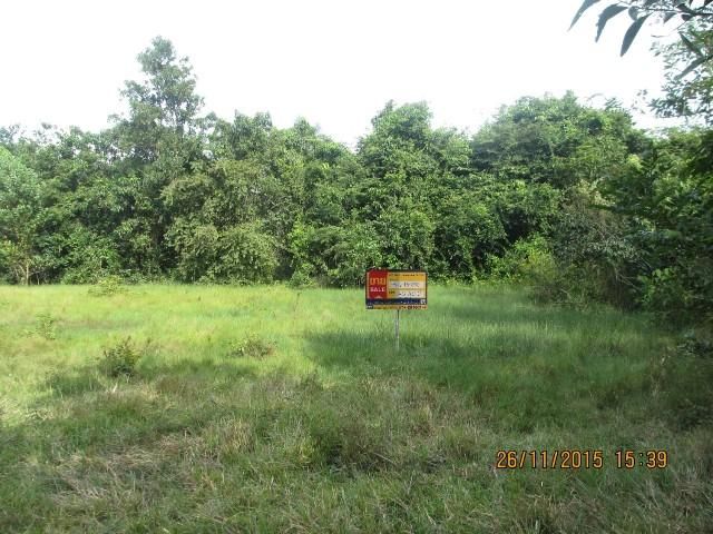 💖 ที่ดิน คลองหอยโข่ง ราคาพิเศษ! 💖