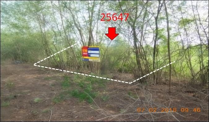 āđāļāđ ð āļāļĩāđāļāļīāļ āļŦāļāļāļāđāļ āļĢāļēāļāļēāļāļīāđāļĻāļĐ! ð āļĢāļđāļāļāļĩāđ 2