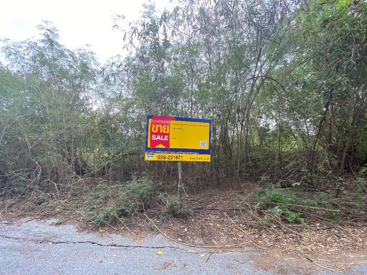 💖 ที่ดิน หนองแค ราคาพิเศษ! 💖