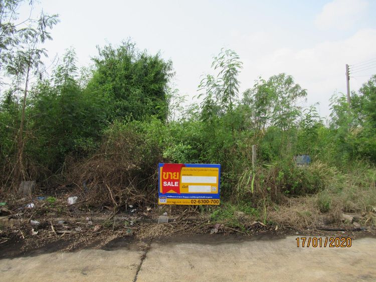 ใช่ 💖 ที่ดิน เมืองสมุทรสาคร ราคาพิเศษ! 💖 รูปที่ 2