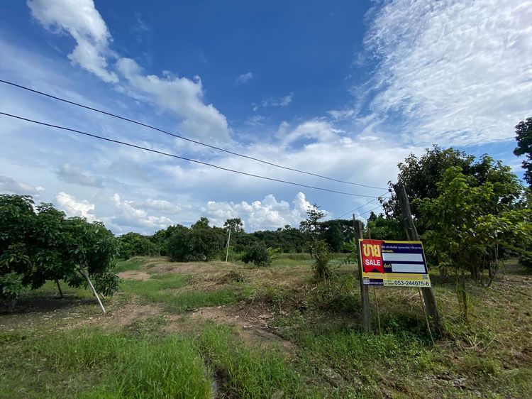 āđāļāđ ð āļāļĩāđāļāļīāļ āļāđāļēāļāļēāļ āļĢāļēāļāļēāļāļīāđāļĻāļĐ! ð āļĢāļđāļāļāļĩāđ 2