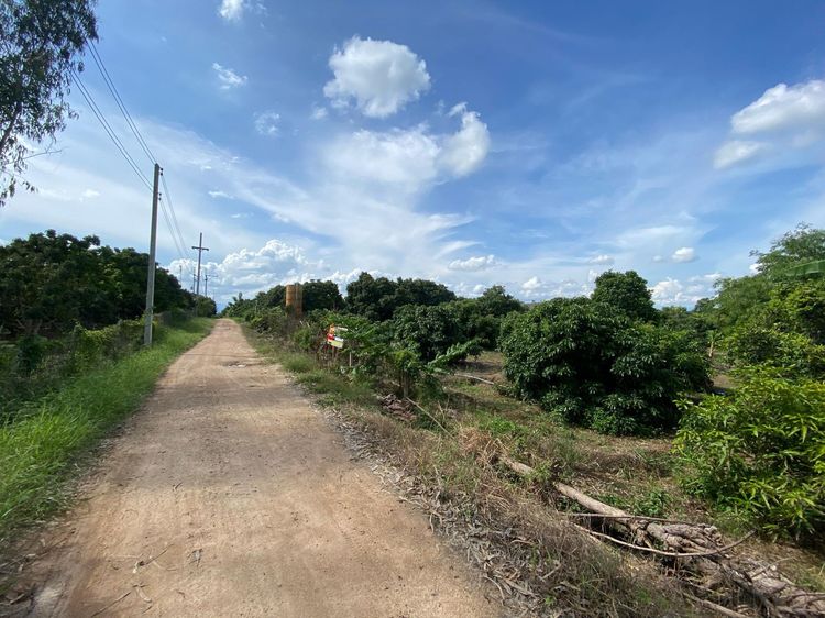 ใช่ 💖 ที่ดิน ป่าซาง ราคาพิเศษ! 💖 รูปที่ 2