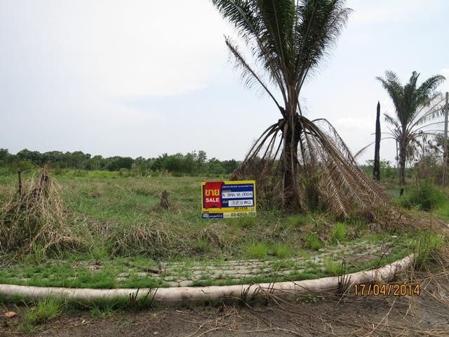 ใช่ 💖 ที่ดิน หนองจอก ราคาพิเศษ! 💖