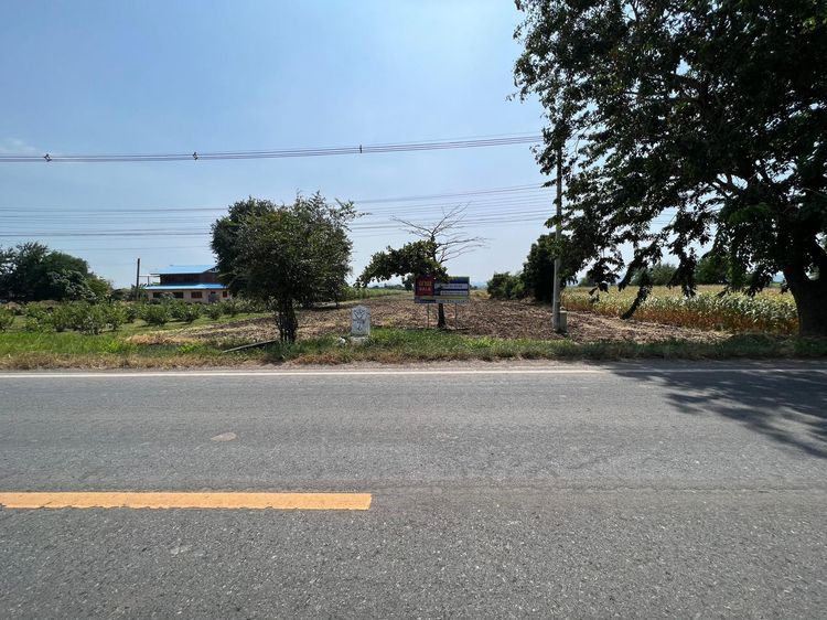 ใช่ 💖 ที่ดิน เมืองลพบุรี ราคาพิเศษ! 💖 รูปที่ 2