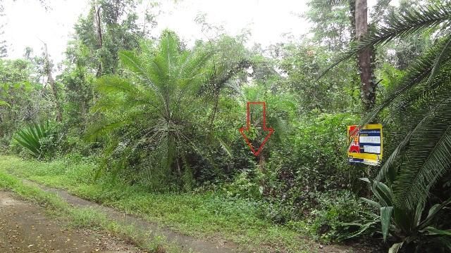 💖 ที่ดิน เกาะคา ราคาพิเศษ! 💖