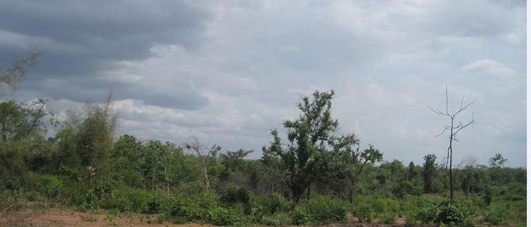 ใช่ 💖 ที่ดิน เกาะคา ราคาพิเศษ! 💖 รูปที่ 3