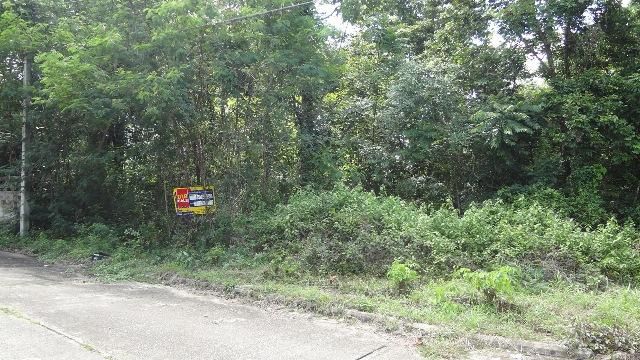 💖 ที่ดิน เกาะคา ราคาพิเศษ! 💖