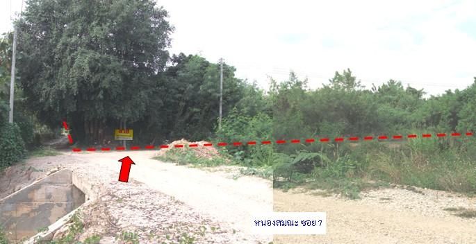 ใช่ 💖 ที่ดิน ป่าซาง ราคาพิเศษ! 💖 รูปที่ 3