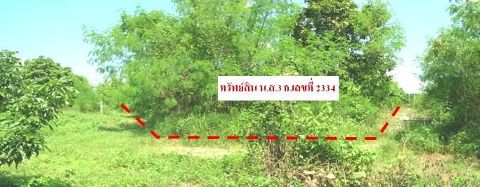 ใช่ 💖 ที่ดิน ป่าซาง ราคาพิเศษ! 💖 รูปที่ 4