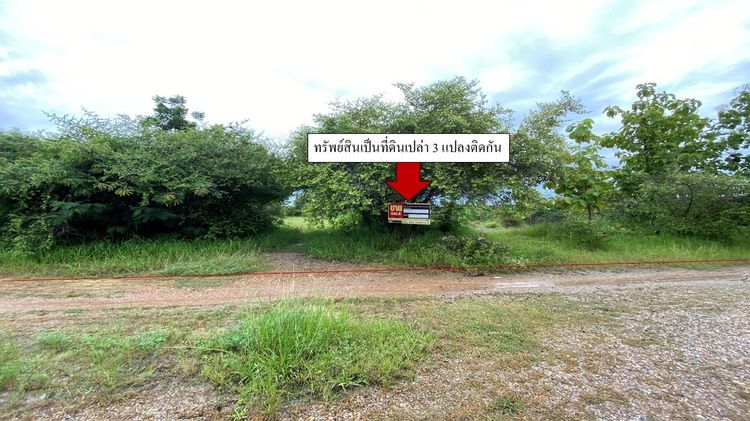 💖 ที่ดิน เมืองลำพูน ราคาพิเศษ! 💖